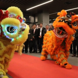 Event show Rotterdam  (NL) Chinese Leeuwendans