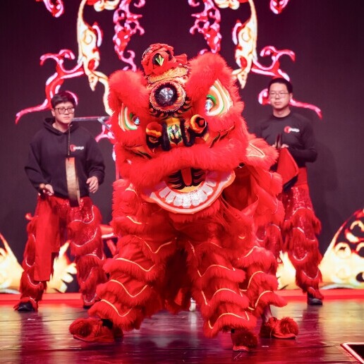 Event show Rotterdam  (NL) Chinese Lion Dance