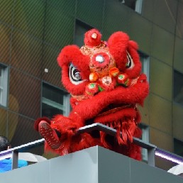 Chinese Lion Dance