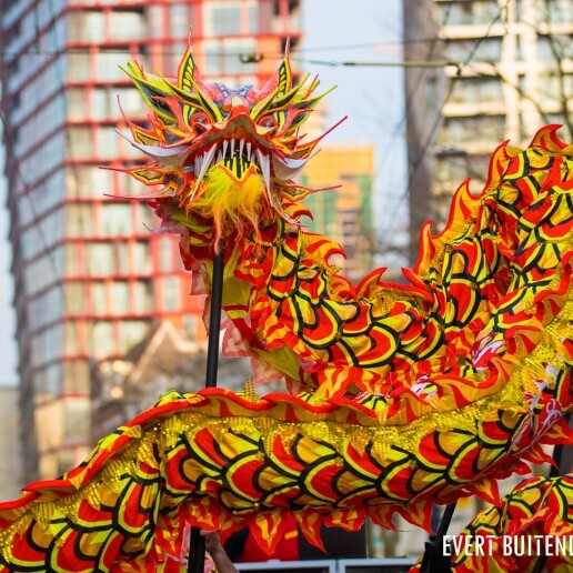 Event show Rotterdam  (NL) Dragon Dance