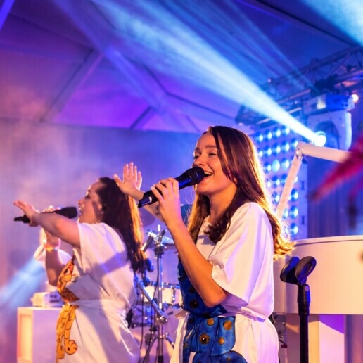 Band Papekop  (NL) The Ultimate Tribute to ABBA (+liveband)