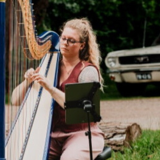 Harpist Oost-souburg  (NL) Bruiloft harpiste Nicki