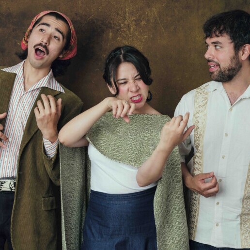 Singing group Amsterdam  (NL) Upbeat music from Mexico with Zorzal!