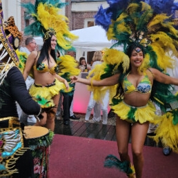 Samba danser en danseres show