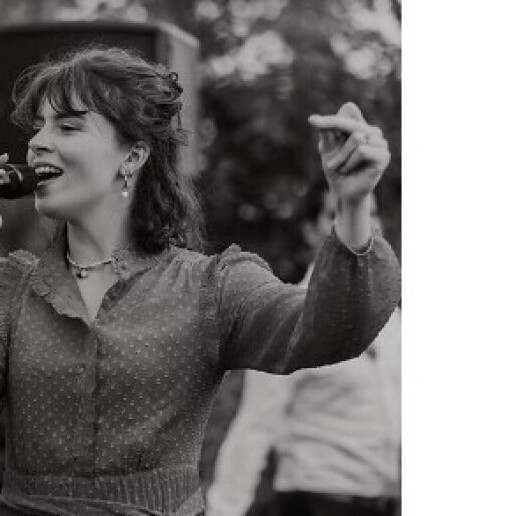 Band Arnhem  (NL) Trio d'Amour - all-round acoustic trio