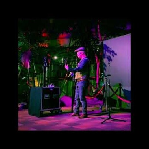 Singer (male) Den Bosch  (NL) One Man Band Mr. Brooks