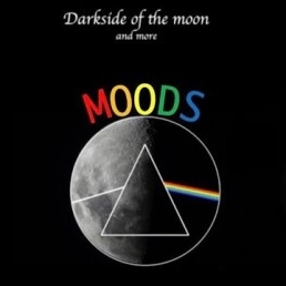 Band Purmerend  (NL) Moods Pink Floyd Tributeband