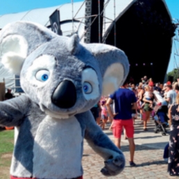 Blinky Bill: Meet & Greet