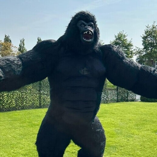 Character/Mascott Kampen  (NL) Giant Gorilla Meet & Greet