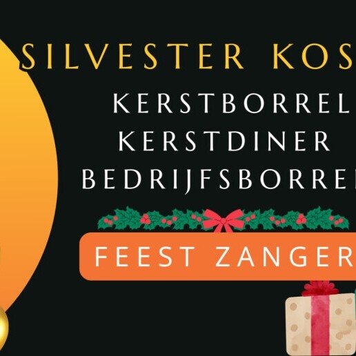Zanger Brielle  (NL) DE FEEST ZANGER KERST BORREL