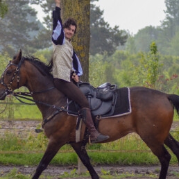 Stuntshow Tiel  (NL) Paardenstuntshow (Golden Hoofs)