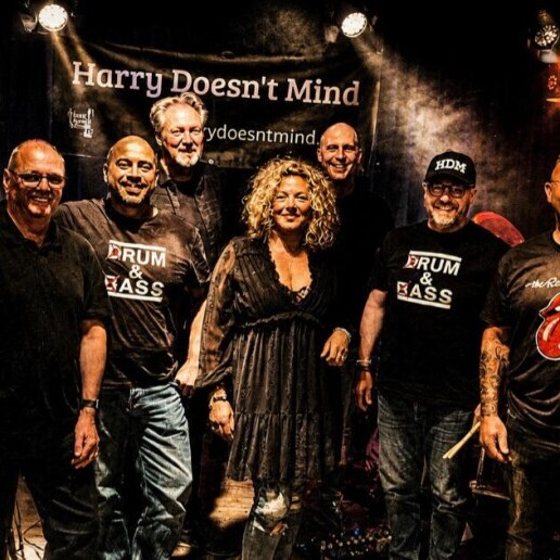 Band Utrecht  (NL) Harry Doesn't Mind - Rock Coverband