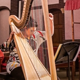 Harpist Sophie