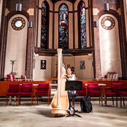 Harpist Tilburg  (NL) Harpiste Sophie