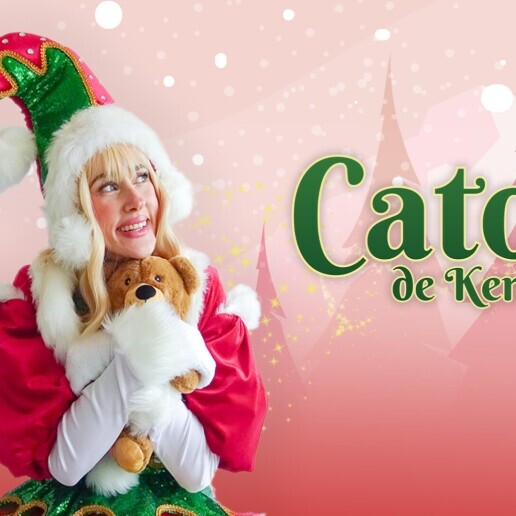 Karakter/Verkleed Rijsbergen  (NL) Cato de Kerstelf | Cato’s Kerstmissie