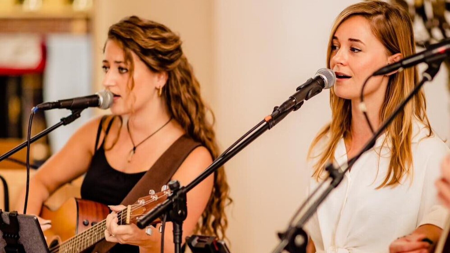 Sandrine & Shadee - allround live muziek