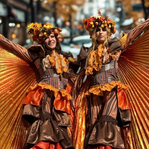 Animatie Beesd  (NL) Stelten act - De vallende blaadjes