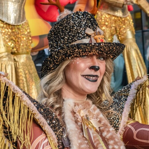 Actor Beesd  (NL) Reindeer Christmas