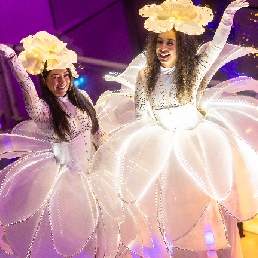 Stilt act - Ice flowers