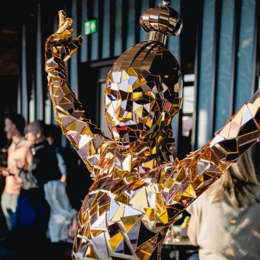 Danser Beesd  (NL) Dansers - Mirror ballerina's