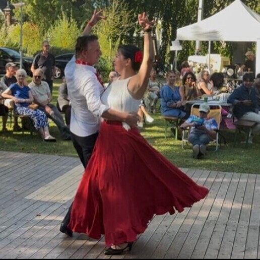 Dancer Papendrecht  (NL) BailAmor | Flamenco dance show & Workshops