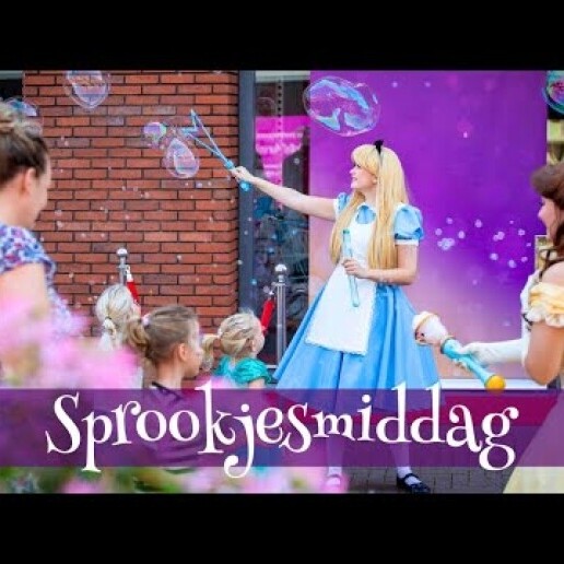 ✨All-in sprookjesmiddag winkelcentrum