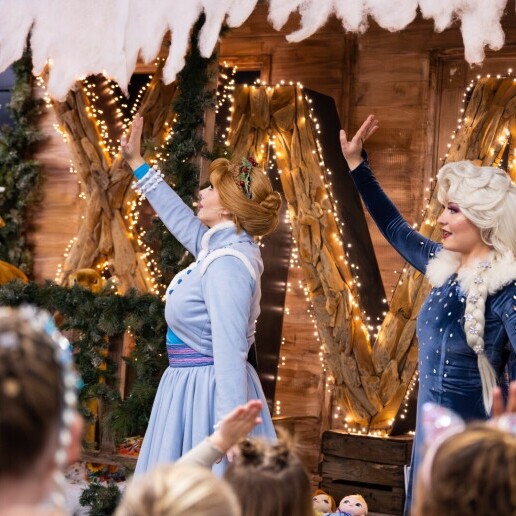 Karakter/Verkleed Assen  (NL) Kerstbezoek: rondloopact met Anna en Elsa