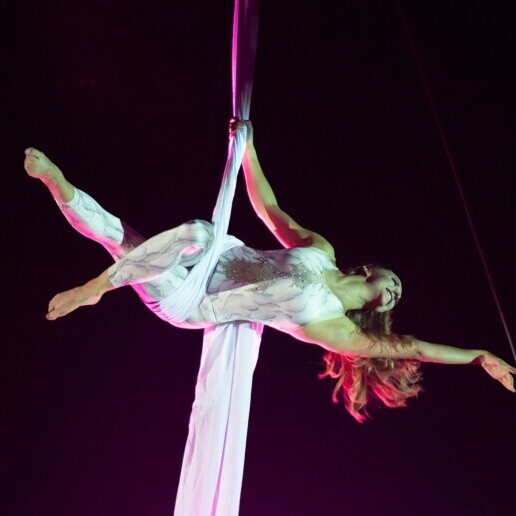 Acrobaat Steenderen  (NL) Kerst Aerial silk act