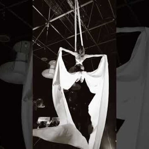 Christmas Aerial Silk Act