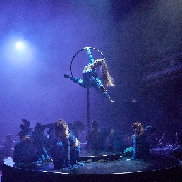 Freestanding Ring - Acrobatics - Lollipop