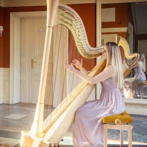 Harpist Sittard  (NL) Harpiste Fenna verlovingen&bruiloften