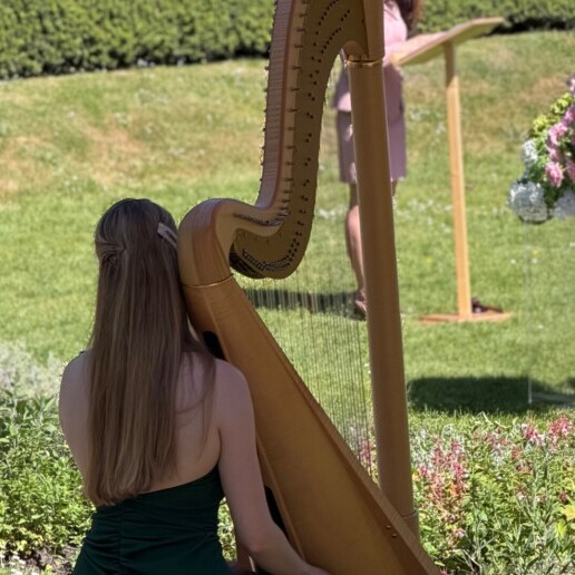 Harpist Sittard  (NL) Harpist for weddings and receptions