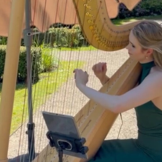 Harpist Sittard  (NL) Harpiste voor bruiloften en recepties