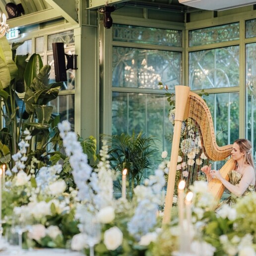 Harpist Sittard  (NL) Wedding Harpist