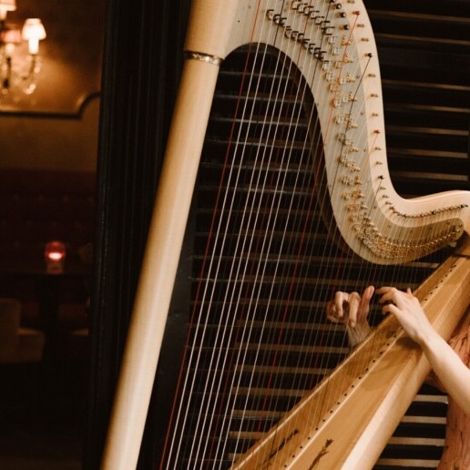 Harpist Sittard  (NL) Harpist Fenna engagements&weddings