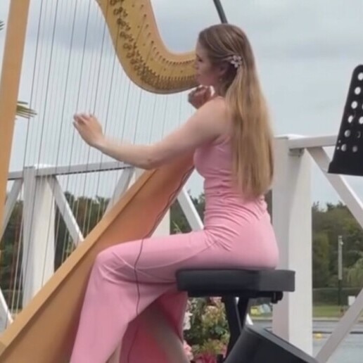 Harpist Sittard  (NL) Harpiste Fenna verlovingen&bruiloften