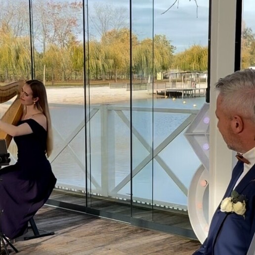 Harpist Sittard  (NL) Harpiste | Bruiloften & Events