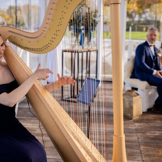 Harpist Sittard  (NL) Harpist Limburg