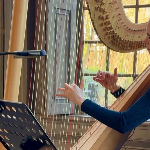 Harpist Sittard  (NL) Harpiste bruiloften & events