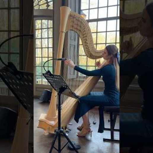 Harpist Sittard  (NL) Harpiste bruiloften & events