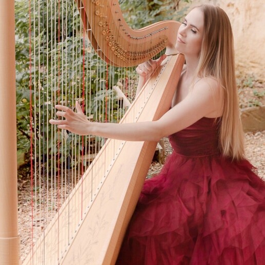 Harpist Sittard  (NL) Bollywood harpist