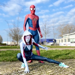 Ghost-Spider /Spider-Gwen / Spiderman