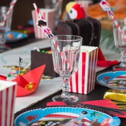 Piraten Kids Party / Evenement - Nanny