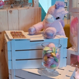 Kindervoorstelling Haarlem  (NL) Unicorn Kids Party / Evenement - Nanny