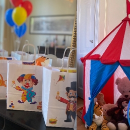 Circus Kids Party / Nanny/ Kinderfeestje