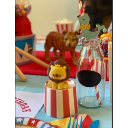 Circus Kids Party / Nanny/ Kinderfeestje