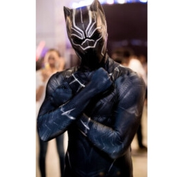 Karakter/Verkleed Haarlem  (NL) Black Panther - Superhero (from spidey)