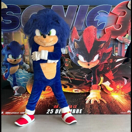 Karakter/Verkleed Haarlem  (NL) Sonic the Hedgehog – Premium Mascotte