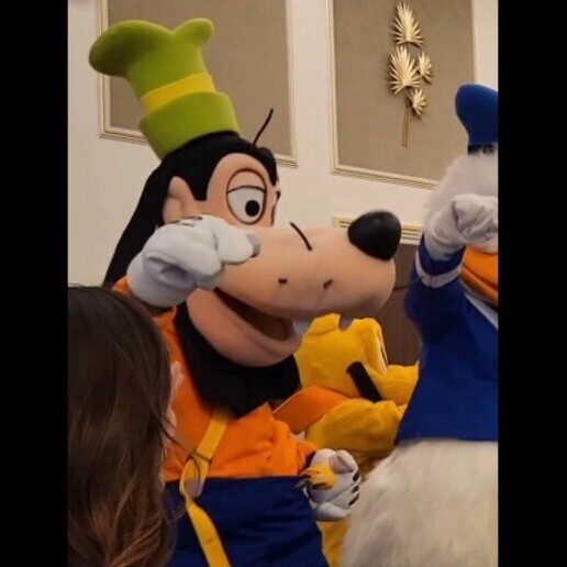 Karakter/Verkleed Haarlem  (NL) Goofy Premium Mascotte inhuren