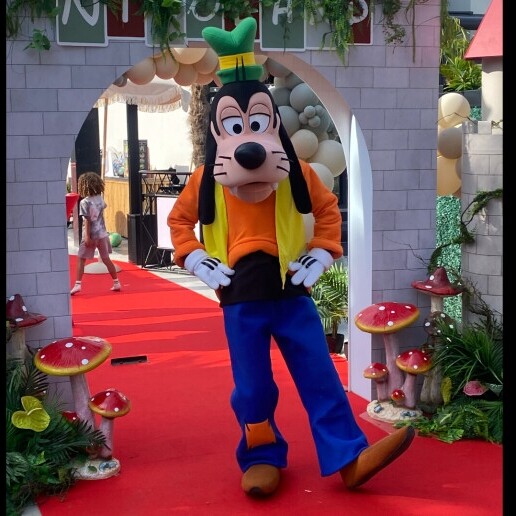 Character/Mascott Haarlem  (NL) Goofy Premium Mascotte inhuren